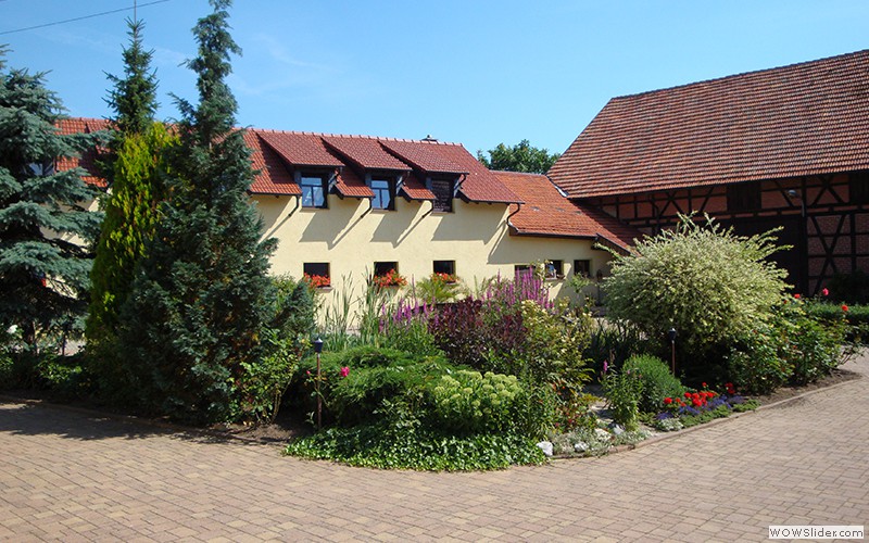 Blick auf den Teich